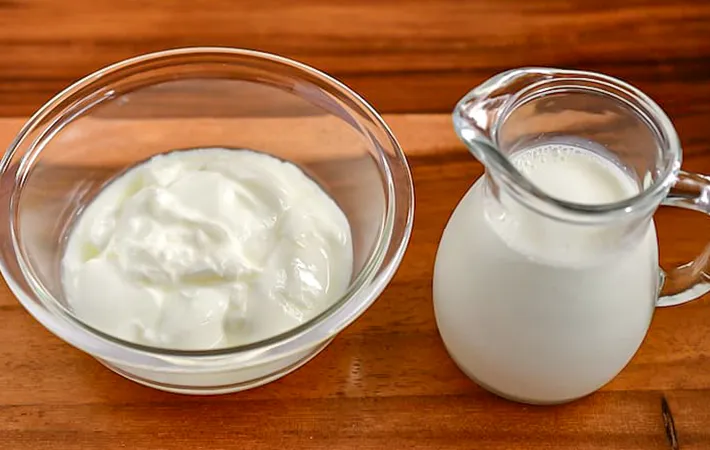 ヨーグルトと牛乳の写真（撮影：小泉明代）