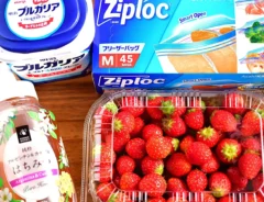 『イチゴヨーグルトアイス』の材料の写真（撮影：小泉明代）