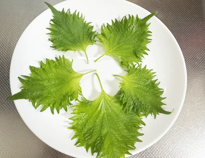 大葉を並べた写真（撮影:grapeフード編集部）