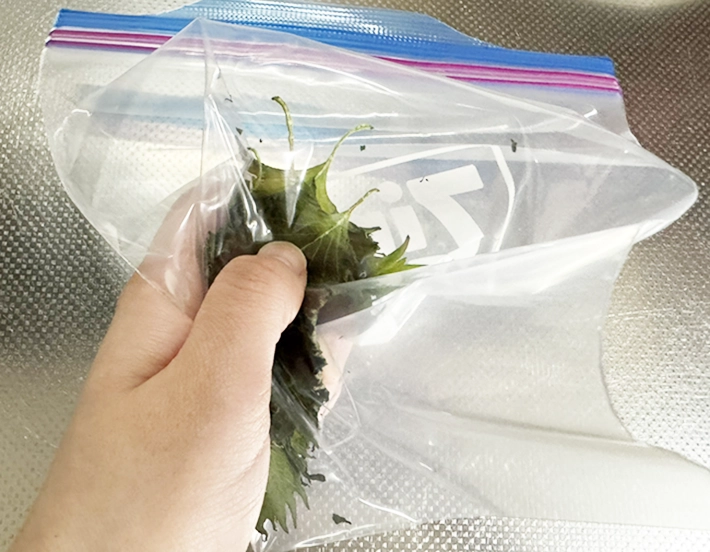 レンジに入れた大葉をつぶす写真（撮影:grapeフード編集部）