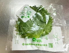 大葉（撮影:grapeフード編集部）