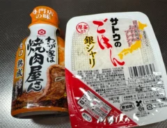パックご飯と焼き肉のたれ（撮影：grapeフード編集部）