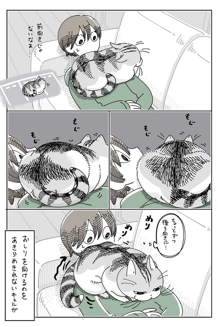 キュルZさんの漫画の画像