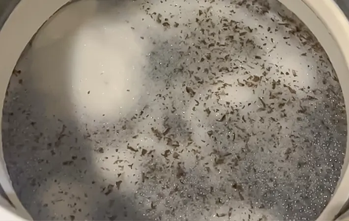 洗濯槽を掃除する写真（撮影：Heulie）