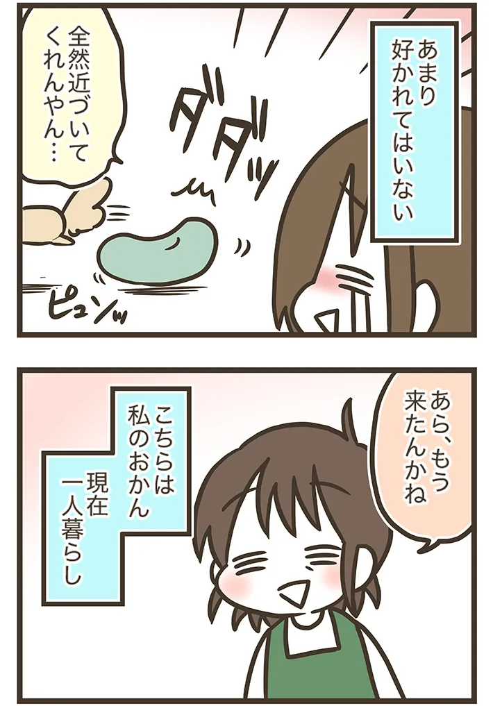漫画家・なおたろーさんの連載漫画『おかんとわんこ』の画像