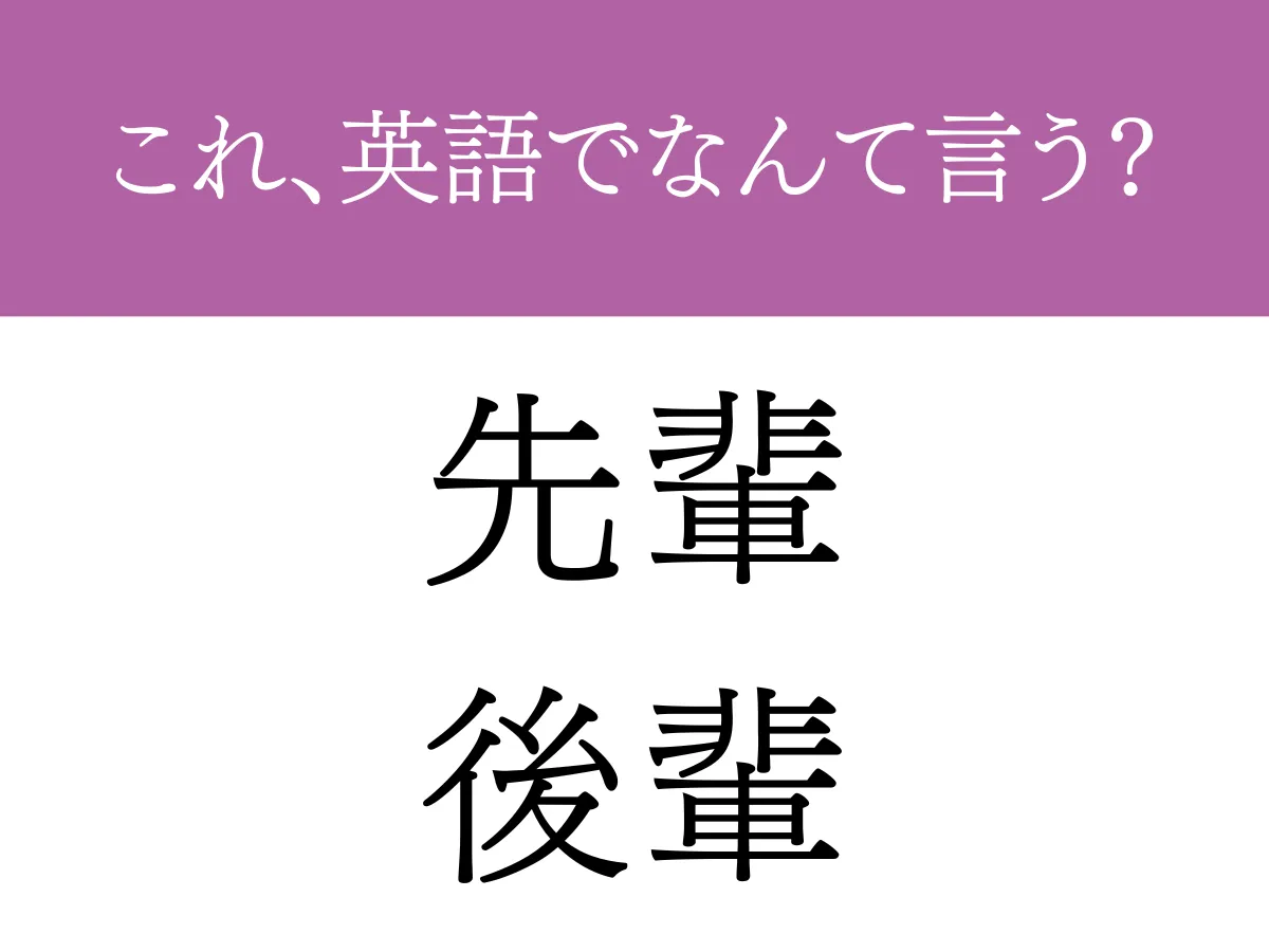 『先輩・後輩』の文字の画像