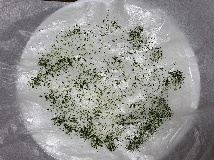 ライスペーパーチップス青のり味（撮影：grapeフード編集部）