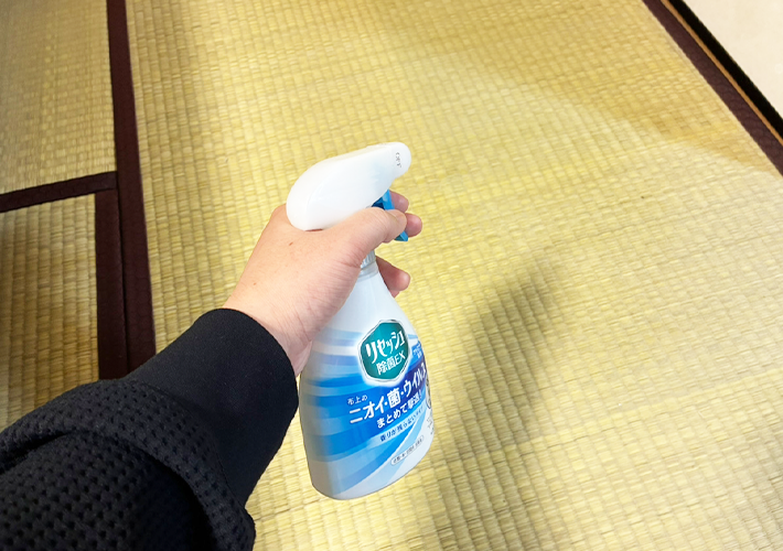 リセッシュ除菌exの使用写真（撮影：grapeライフハック編集部）