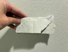 破ったトイレットペーパーの芯（撮影：grapeライフハック編集部）