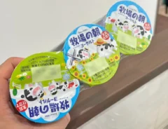 『牧場の朝ヨーグルト 生乳仕立て』の写真（撮影：キジカク）