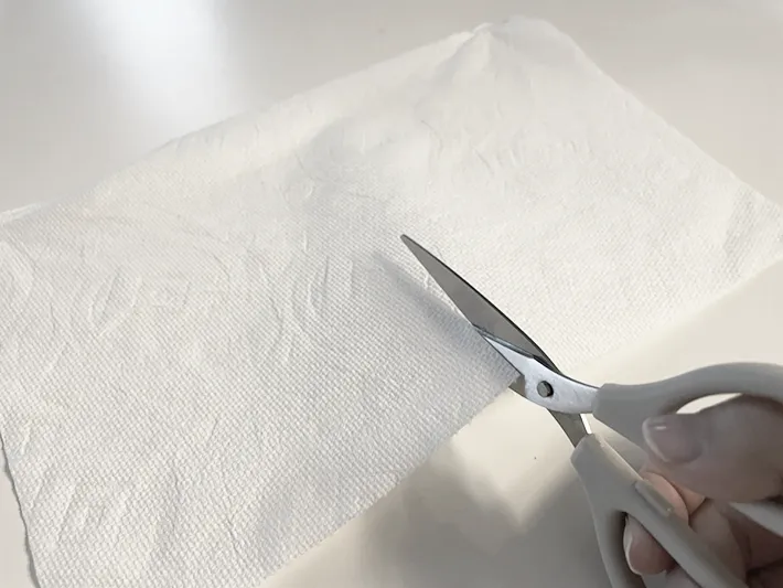 キッチンペーパーをカットする写真（撮影：grapeライフハック編集部）