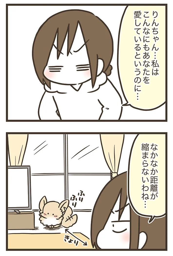 漫画家・なおたろーさんによるエッセイ漫画『おかんとわんこ』の画像