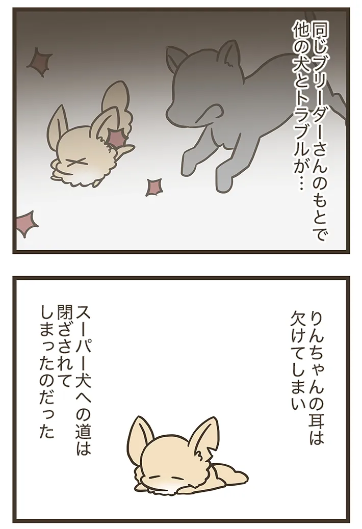漫画家・なおたろーさんによるエッセイ漫画『おかんとわんこ』の画像