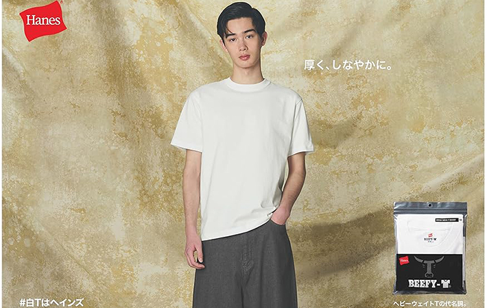 ヘインズの画像