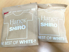 ヘインズの画像