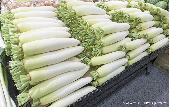 大根の画像