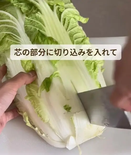 白菜の芯に包丁で切り込みを入れている様子