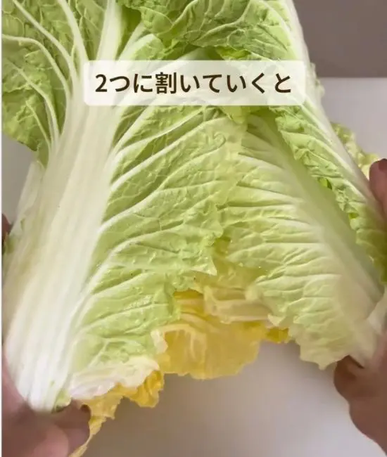 白菜の葉を手で割いている様子