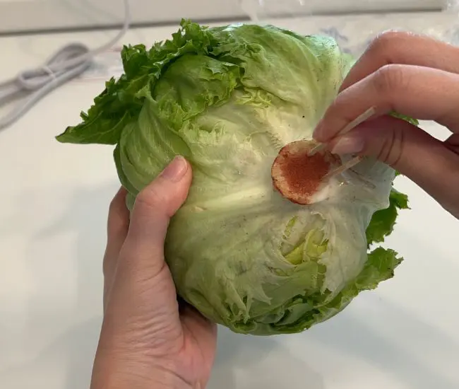 レタスに爪楊枝を刺している様子（撮影：grapeフード編集部）