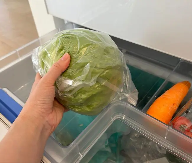 レタスを冷蔵庫に入れる様子（撮影：grapeフード編集部）