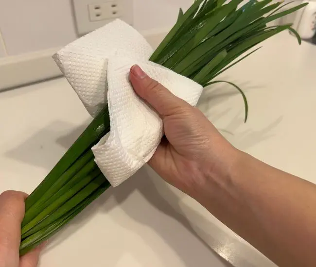 洗ったニラの水気を取っている様子（撮影：grapeフード編集部）
