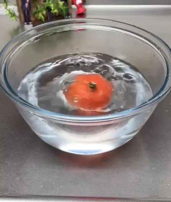 凍らせたトマトを水を張ったボウルに入れている様子