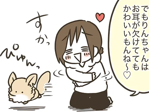 漫画家・なおたろーさんによるエッセイ漫画『おかんとわんこ』の画像