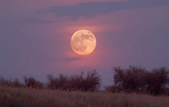 フラワームーン以外の満月の呼び名を紹介！