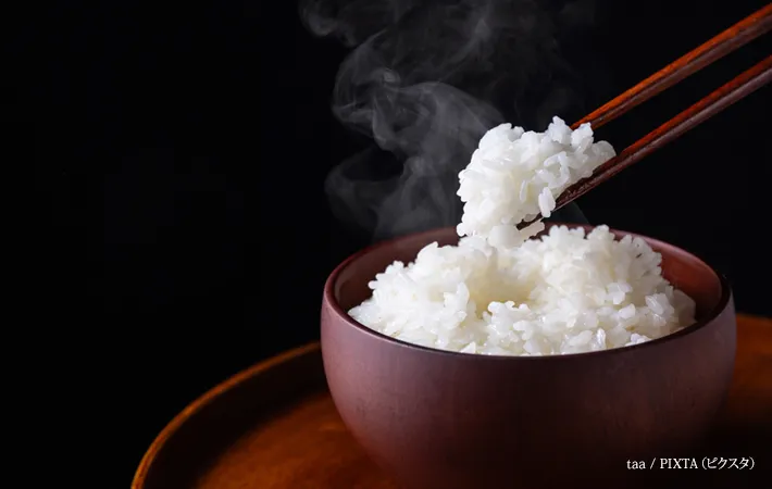 『黒背景に白いご飯』の写真