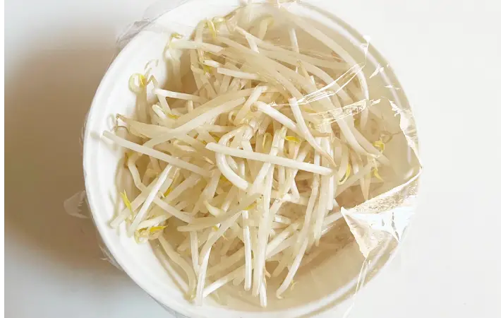 レンジ加熱前のもやしの画像（撮影：エニママ）