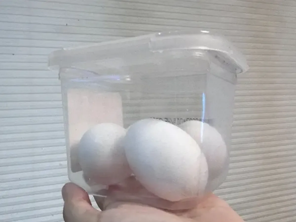 味噌のフタの写真（撮影：エニママ）