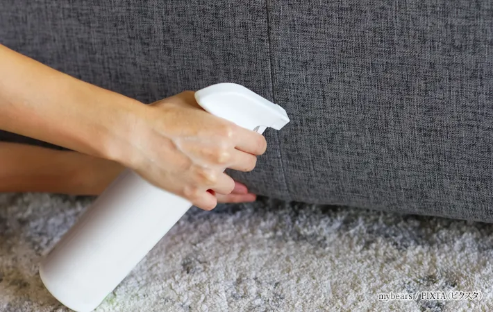 『布製のカーペットとソファにスプレーする女性の手元』の写真