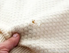 虫食いにあった服のイメージ写真