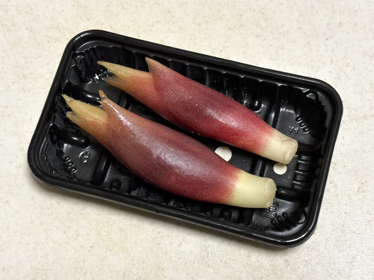 ミョウガの写真（撮影：grape編集部）
