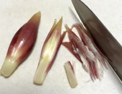ミョウガの写真（撮影：grape編集部）