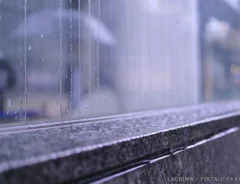 梅雨時期の窓の写真