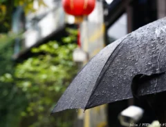 雨に濡れた傘の写真