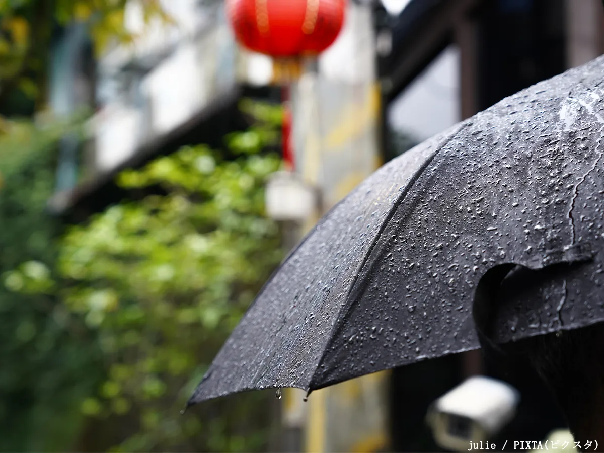 雨に濡れた傘の写真