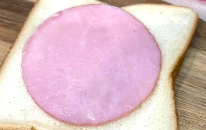『ハムをのせた食パン』の写真（撮影：キジカク）