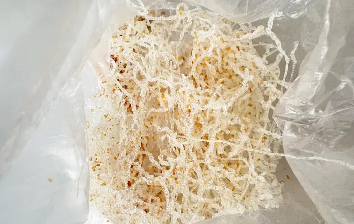 コンソメ味の画像（撮影：エニママ）