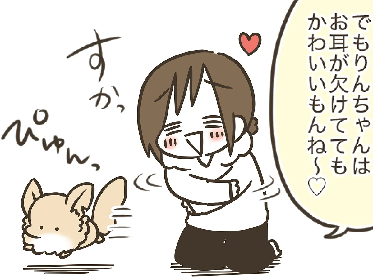 漫画家・なおたろーさんによるエッセイ漫画『おかんとわんこ』の画像