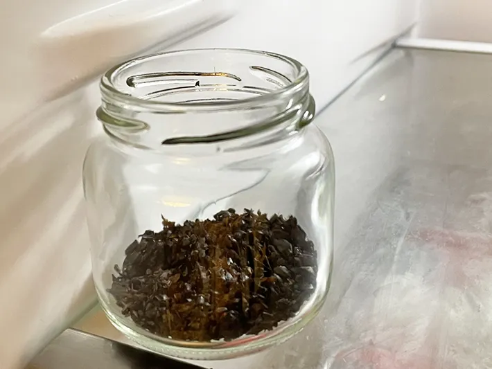 麦茶パックの中身を消臭剤として使う写真（撮影：grapeライフハック編集部）