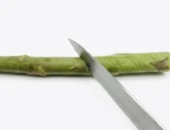 アスパラガスを下処理する写真（画像提供：沖多恵子）