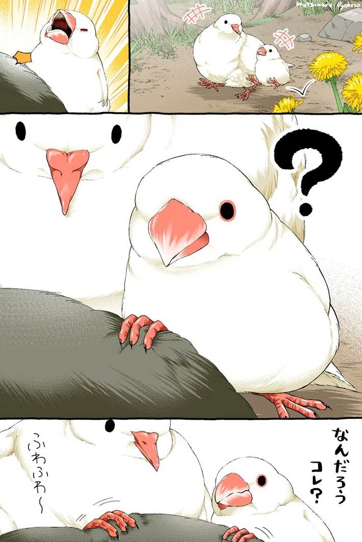 初丸うげべそさんの漫画の画像