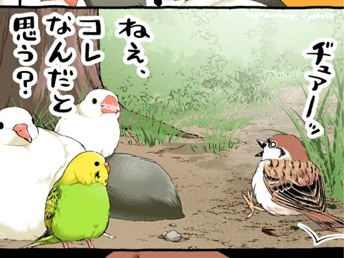 初丸うげべそさんの漫画の画像