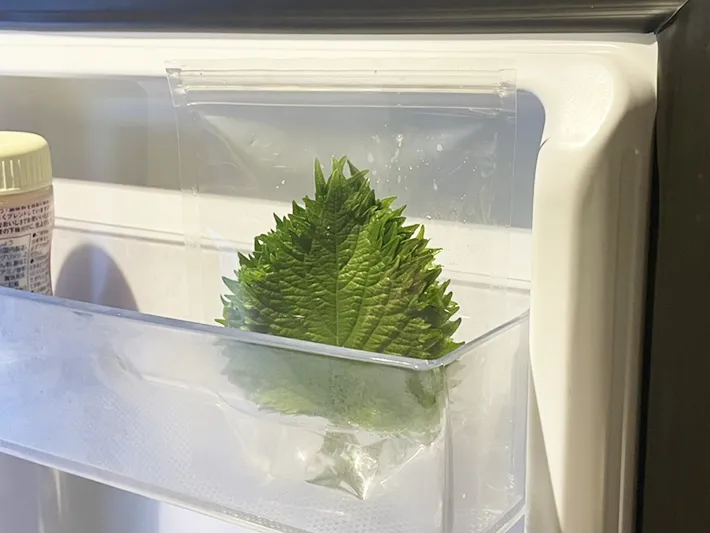 大葉のジッパー袋を冷蔵庫のドアポケットに置いた写真（撮影：grapeフード編集部）