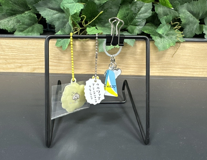 ワイヤースタンドでコレクションスタンド（撮影：grapeライフハック編集部）