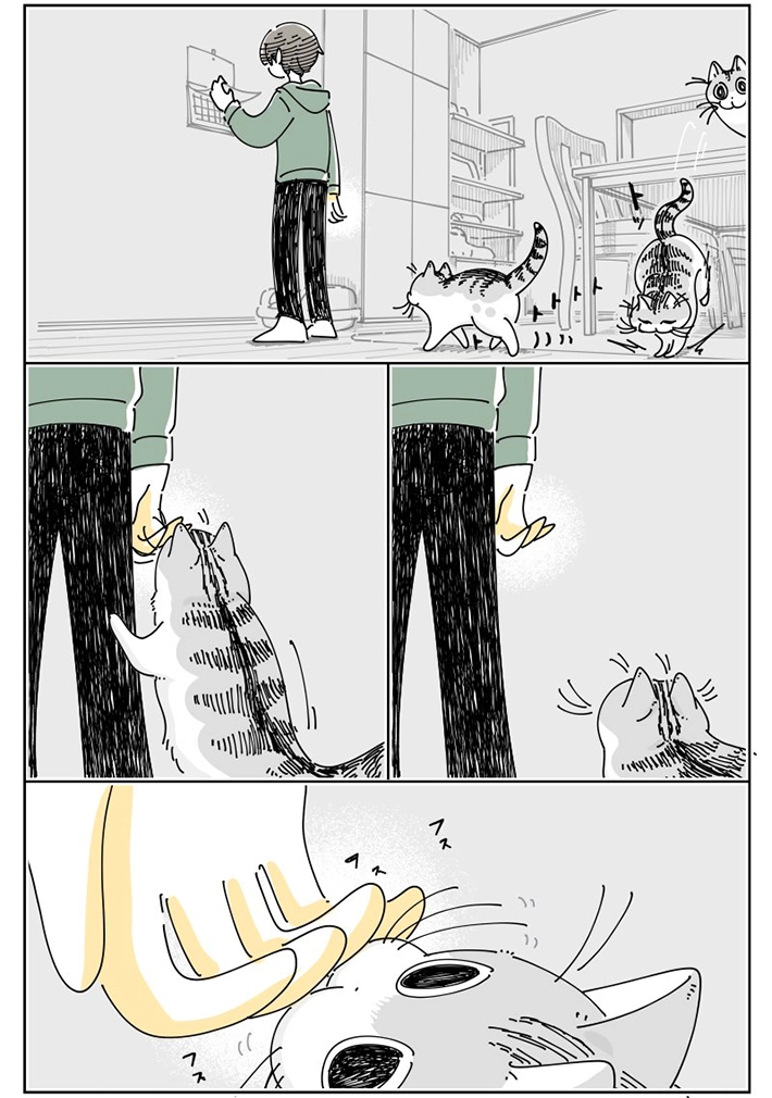 キュルZさんの漫画の画像