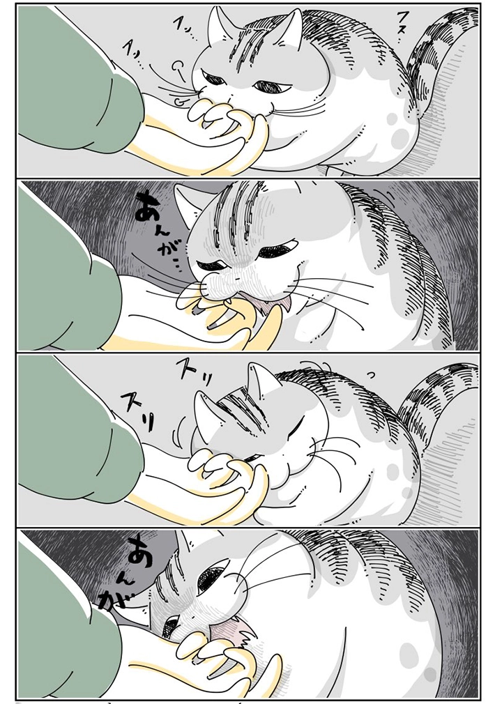 キュルZさんの漫画の画像