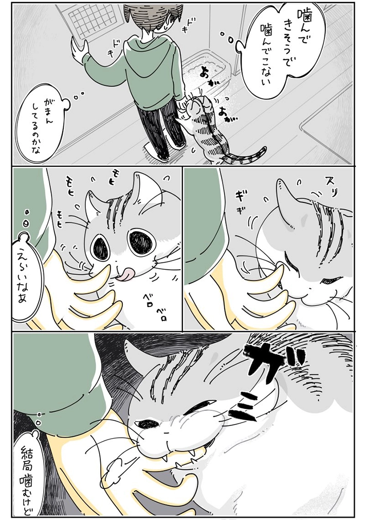 キュルZさんの漫画の画像